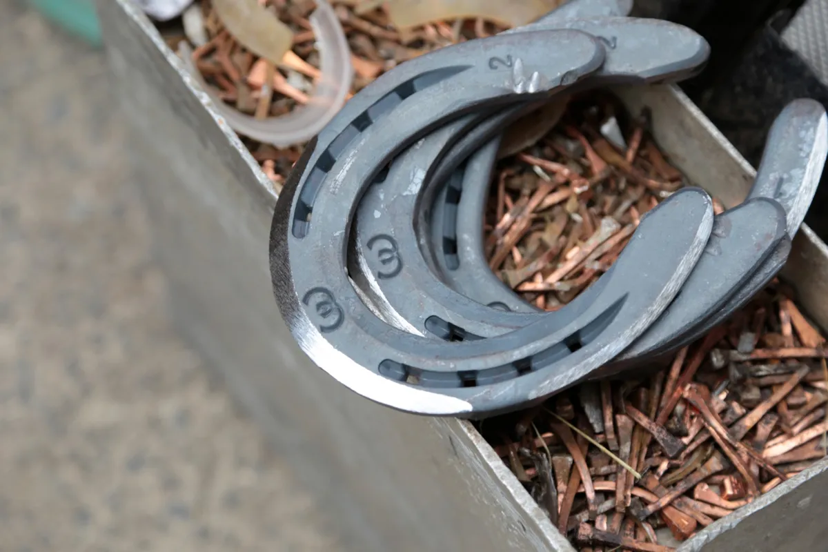 Professional Horse Farrier Service