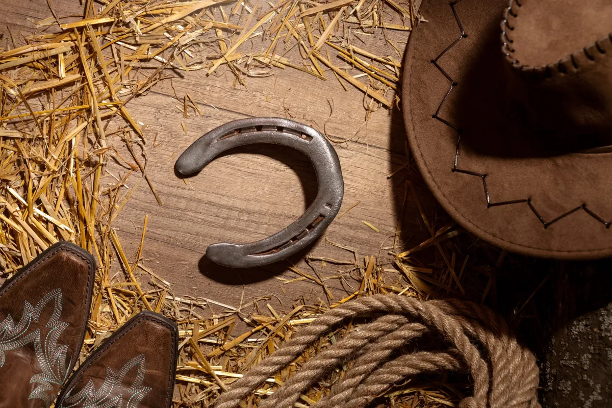 Western Vibes Farrier Service